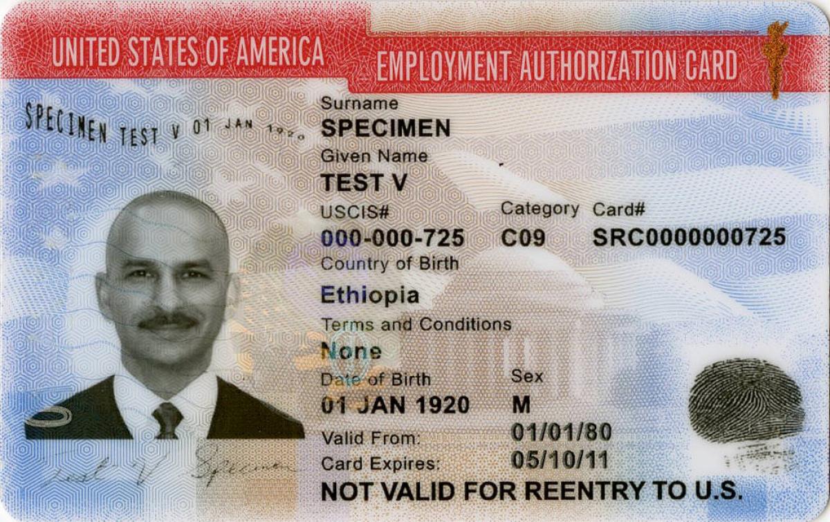 Visa work permit